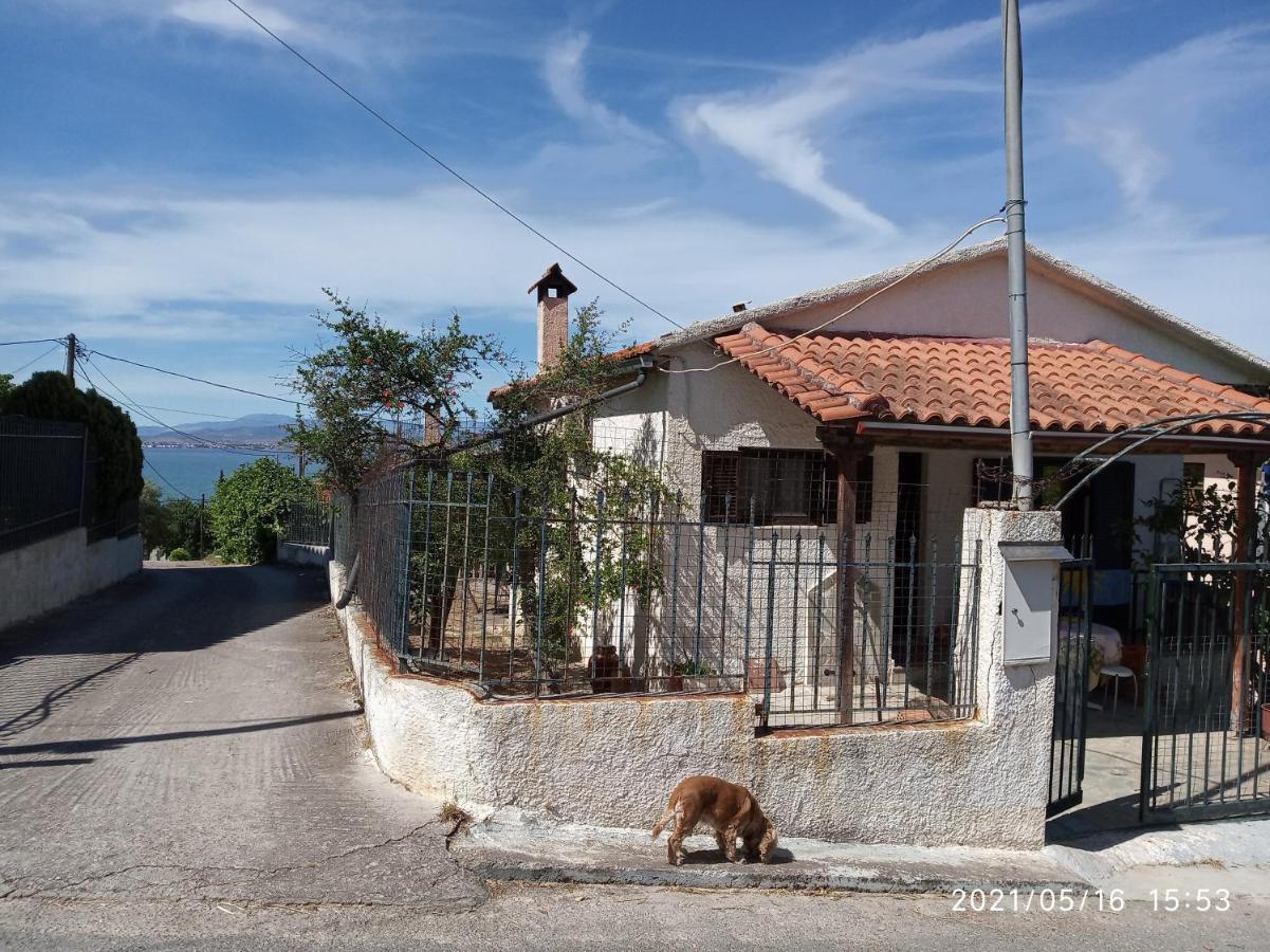 Sea View Dilesi Villa Dhílesi Eksteriør bilde
