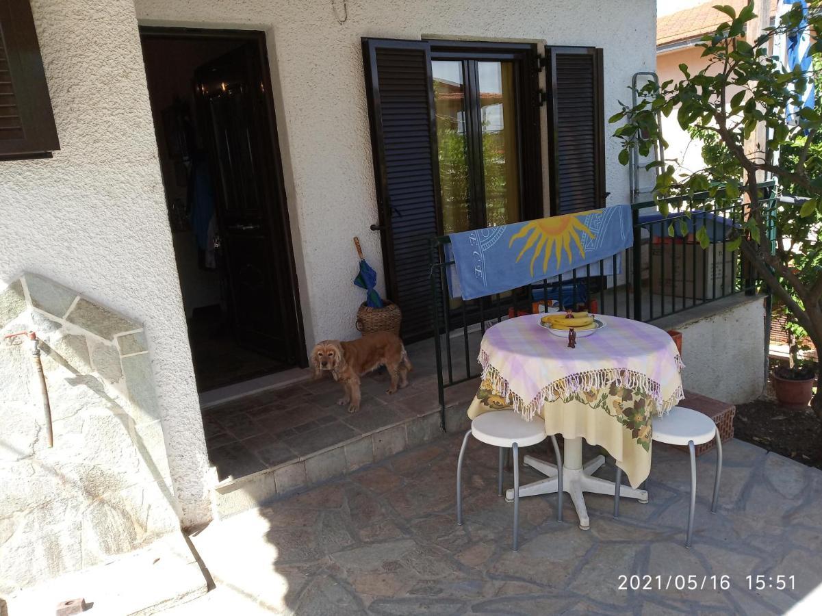 Sea View Dilesi Villa Dhílesi Eksteriør bilde